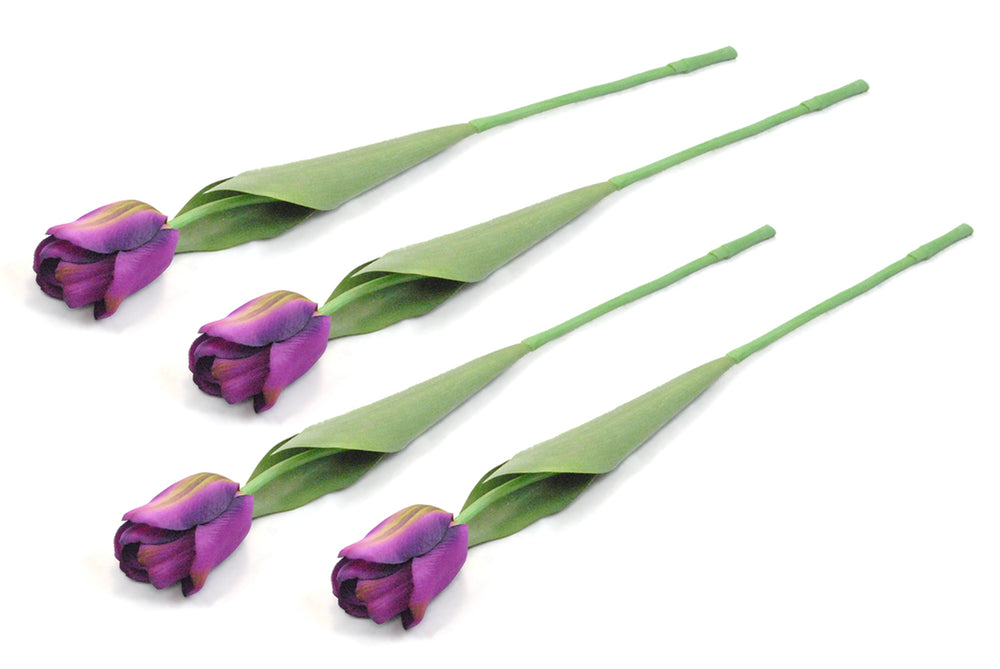 Flower Tulip Purple Set of 4