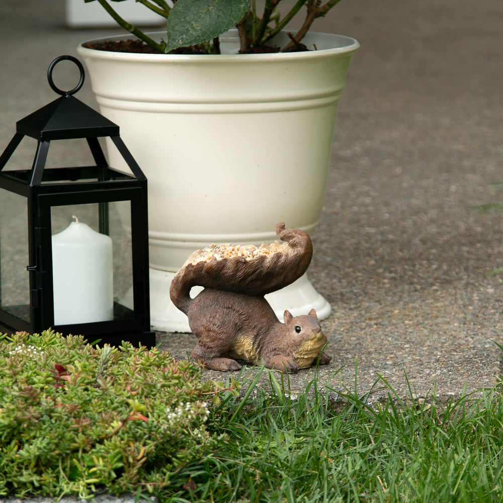 Woodland Squirrel Bird Feeder