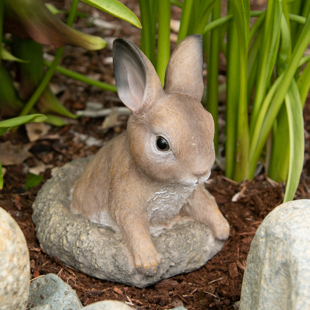 Curious Bunny Garden Decor