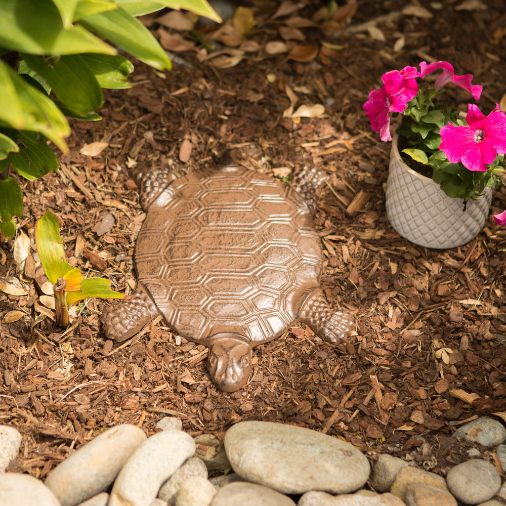 Turtle Stepping Stone