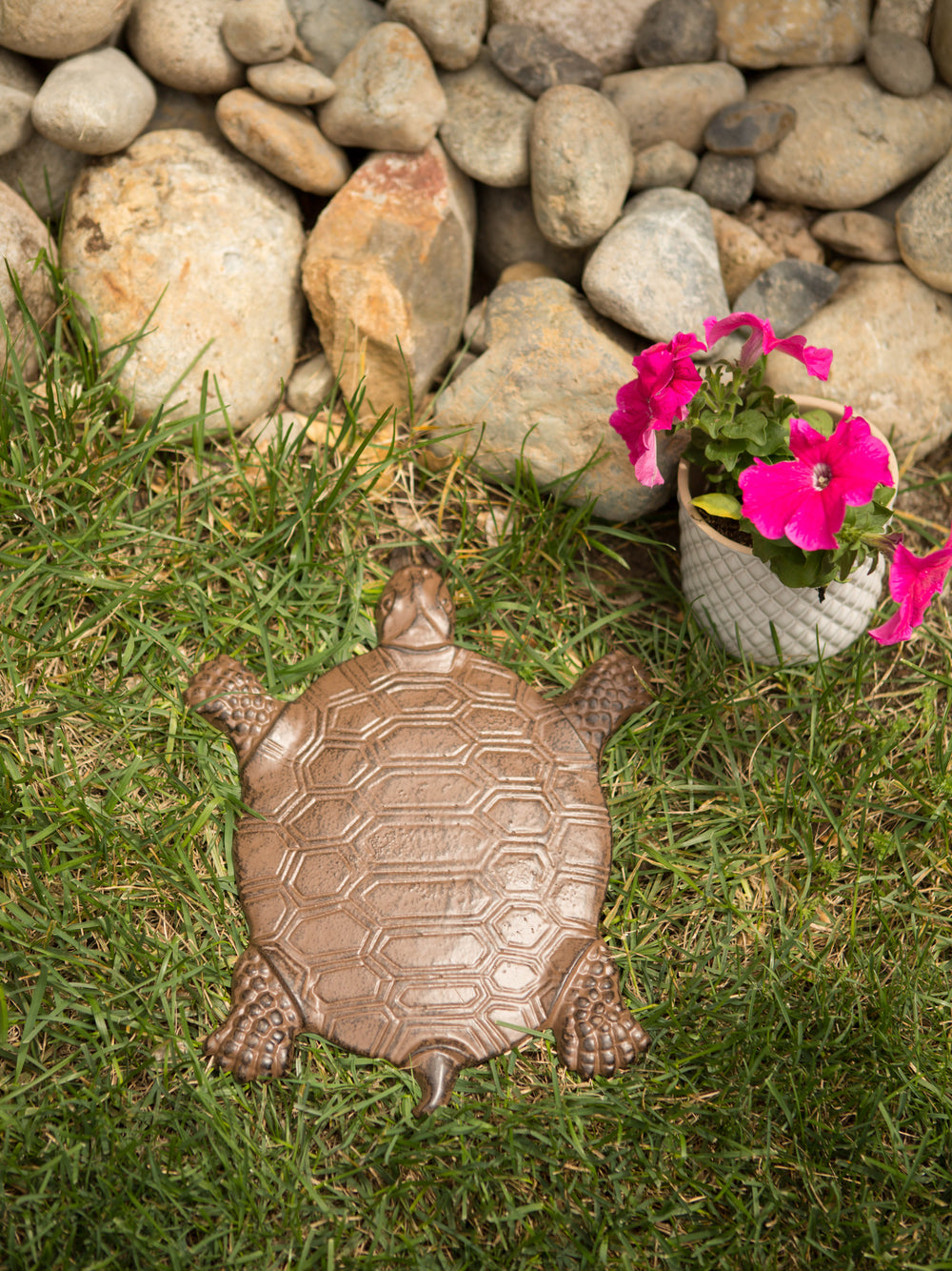 Turtle Stepping Stone