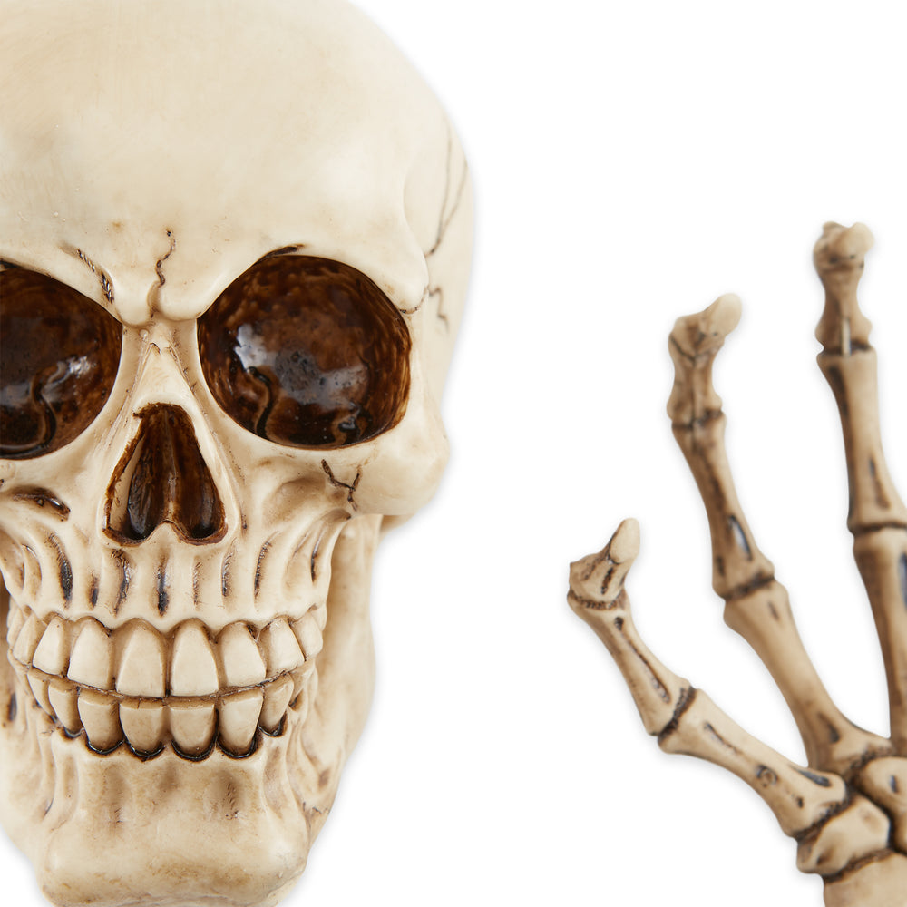 Skeleton Wall Decor Set