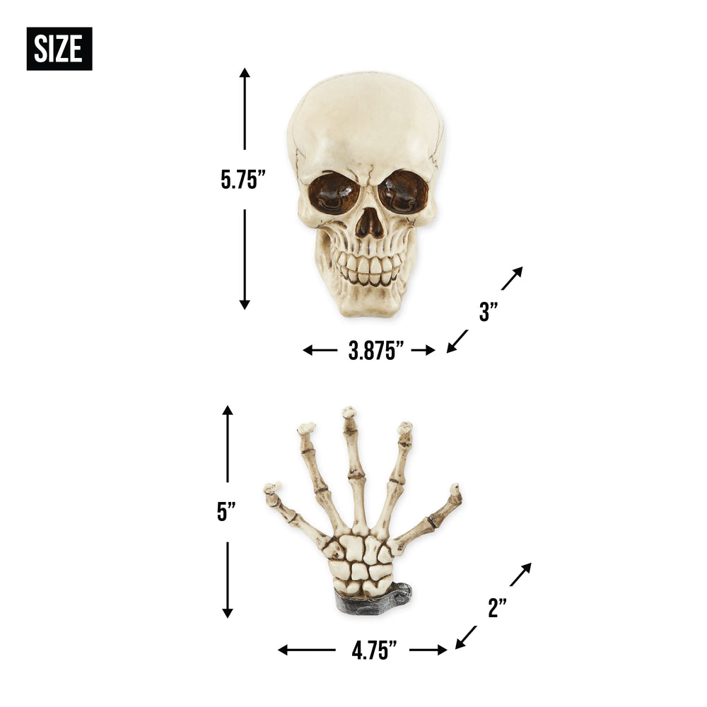 Skeleton Wall Decor Set