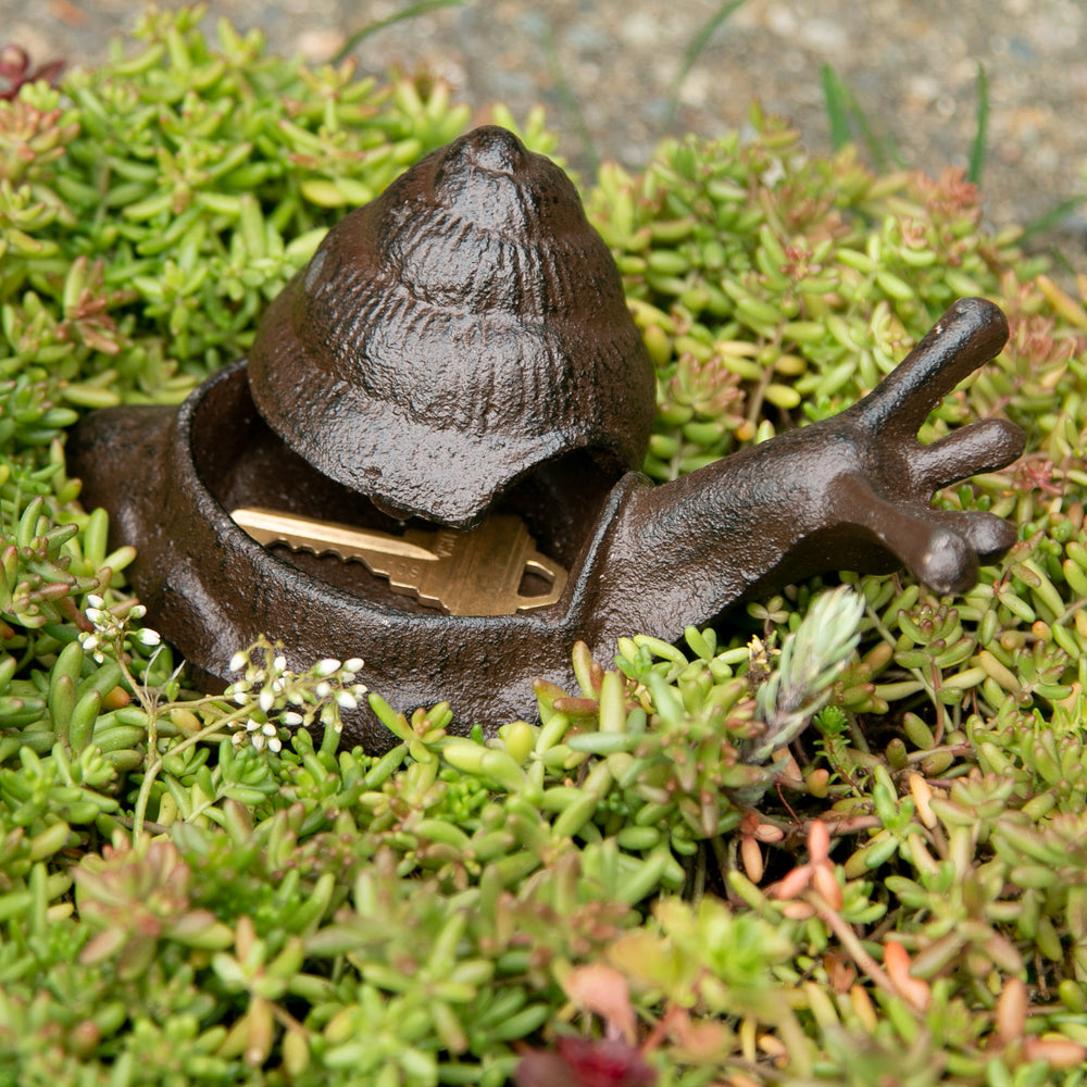 Garden Snail Key Hider