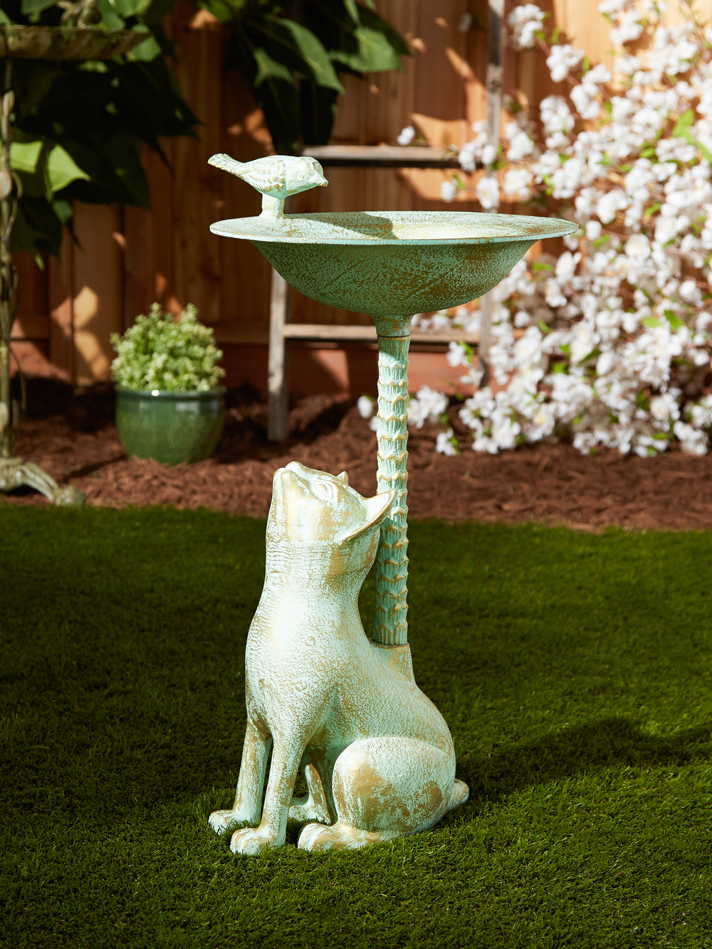 Cat Birdbath