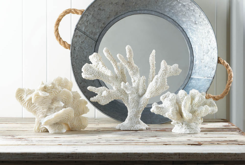 Large White Coral Tabletop Decor