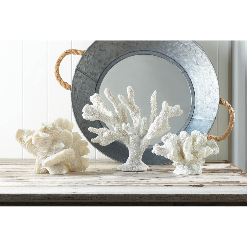 Large White Coral Tabletop Decor