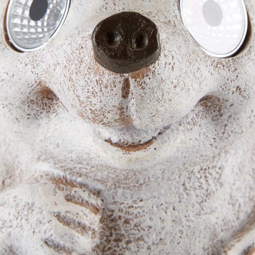Solar Hedgehog Statue