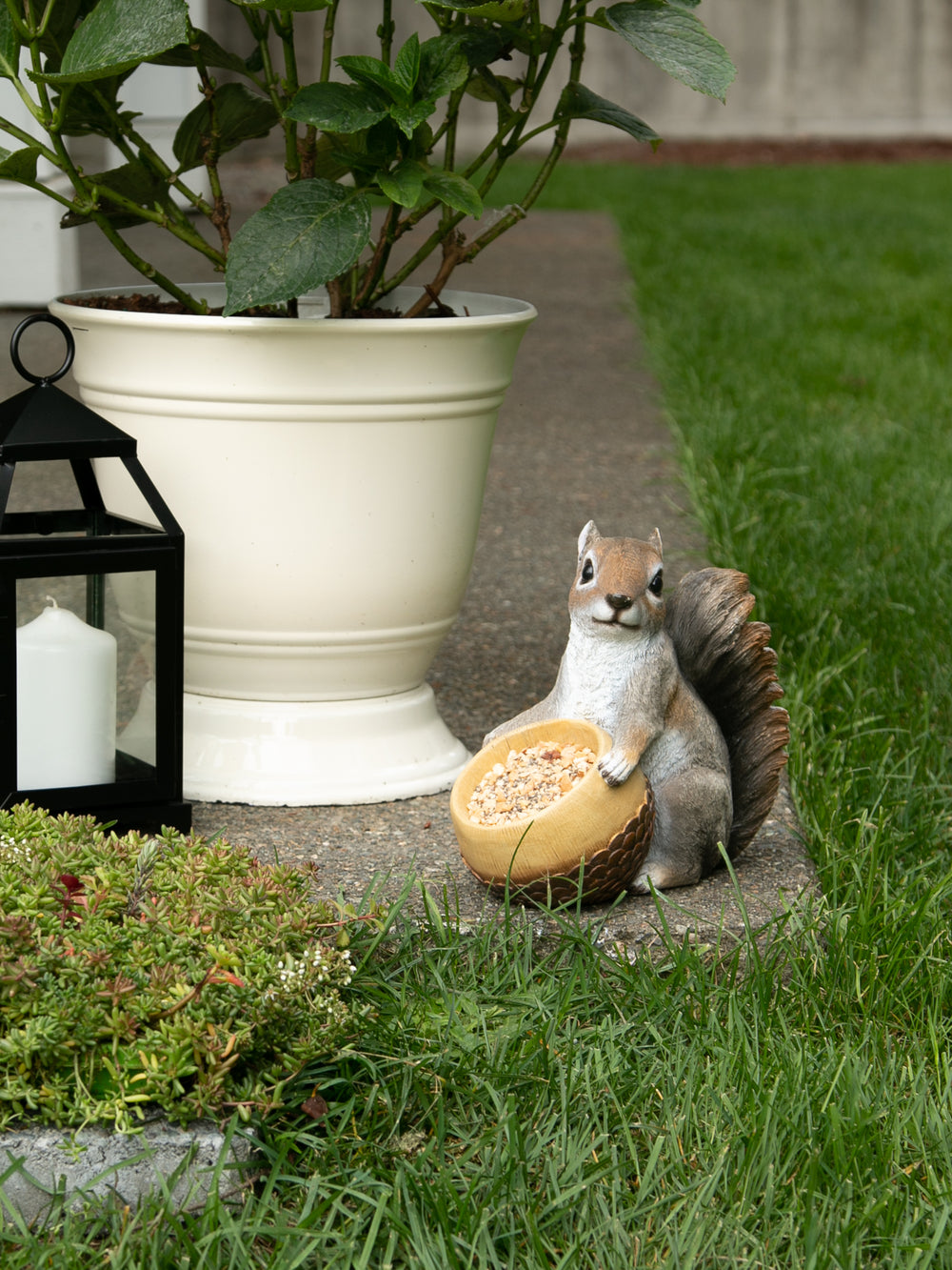 Squirrel & Acorn Bird Feeder