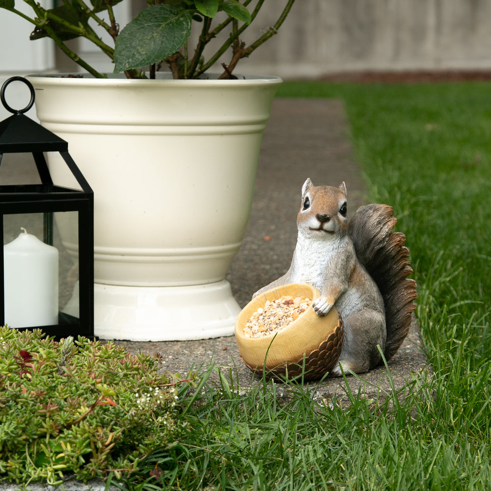 Squirrel & Acorn Bird Feeder