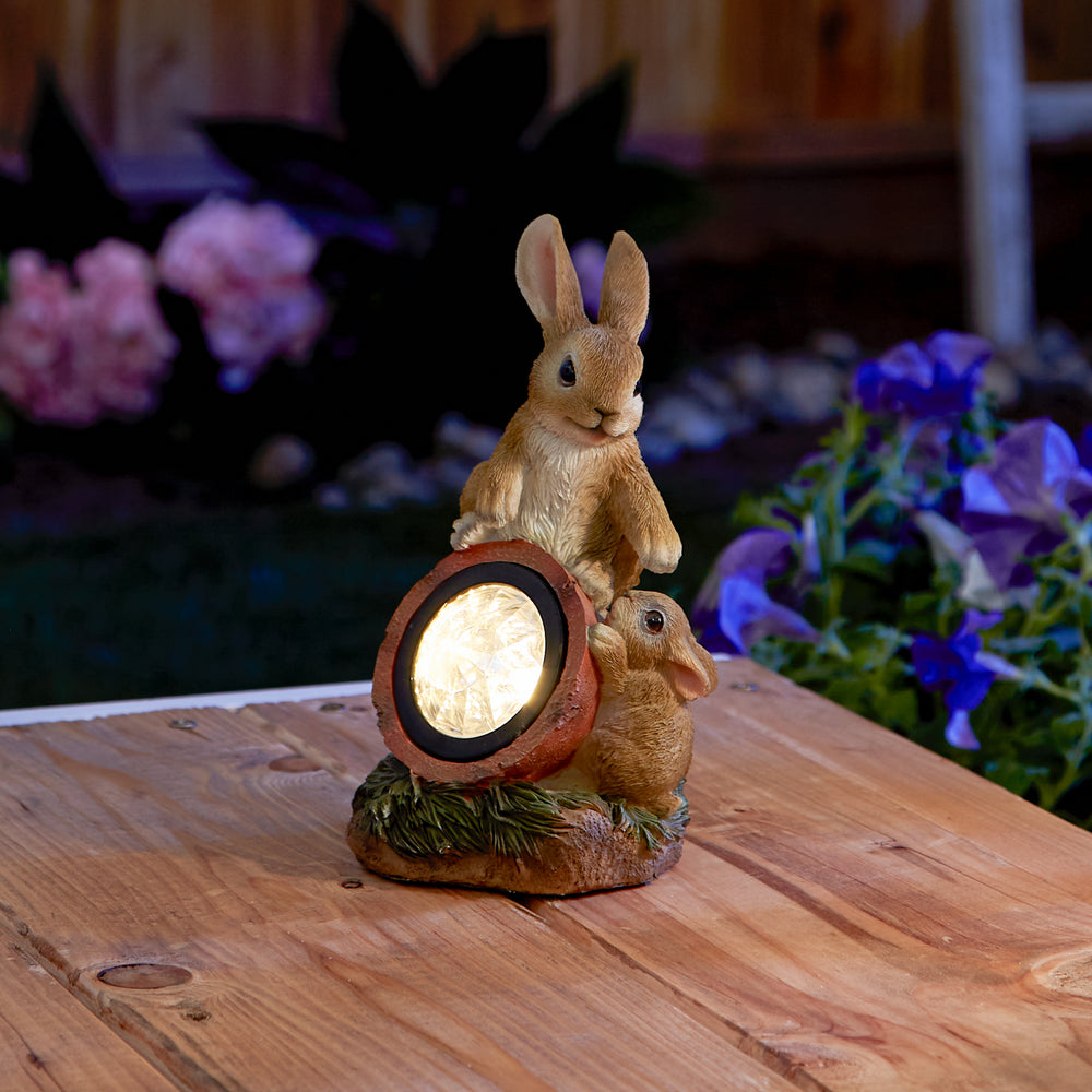 Rabbit With Solar Light