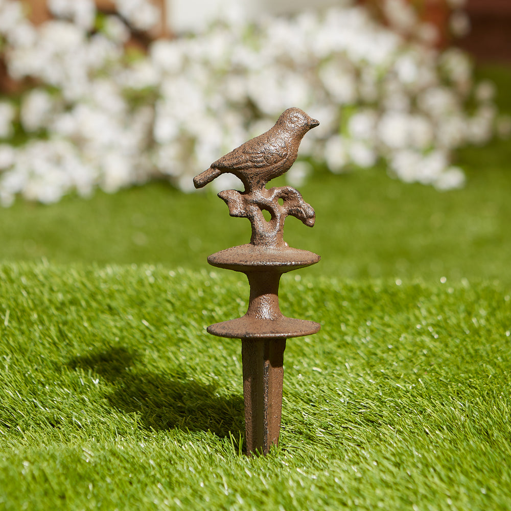 Iron Bird Perch  Hose Guider